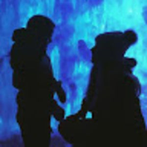 Meet your Posher, Audrey